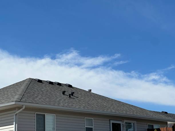 Trusted Stone Ridge, NY Roofing Service Experts
